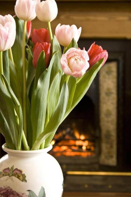 Dunallan Guest House Grantown-on-Spey Экстерьер фото